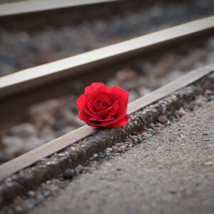 stop youth suicide, red rose near rail, remembering all victims-3663311.jpg